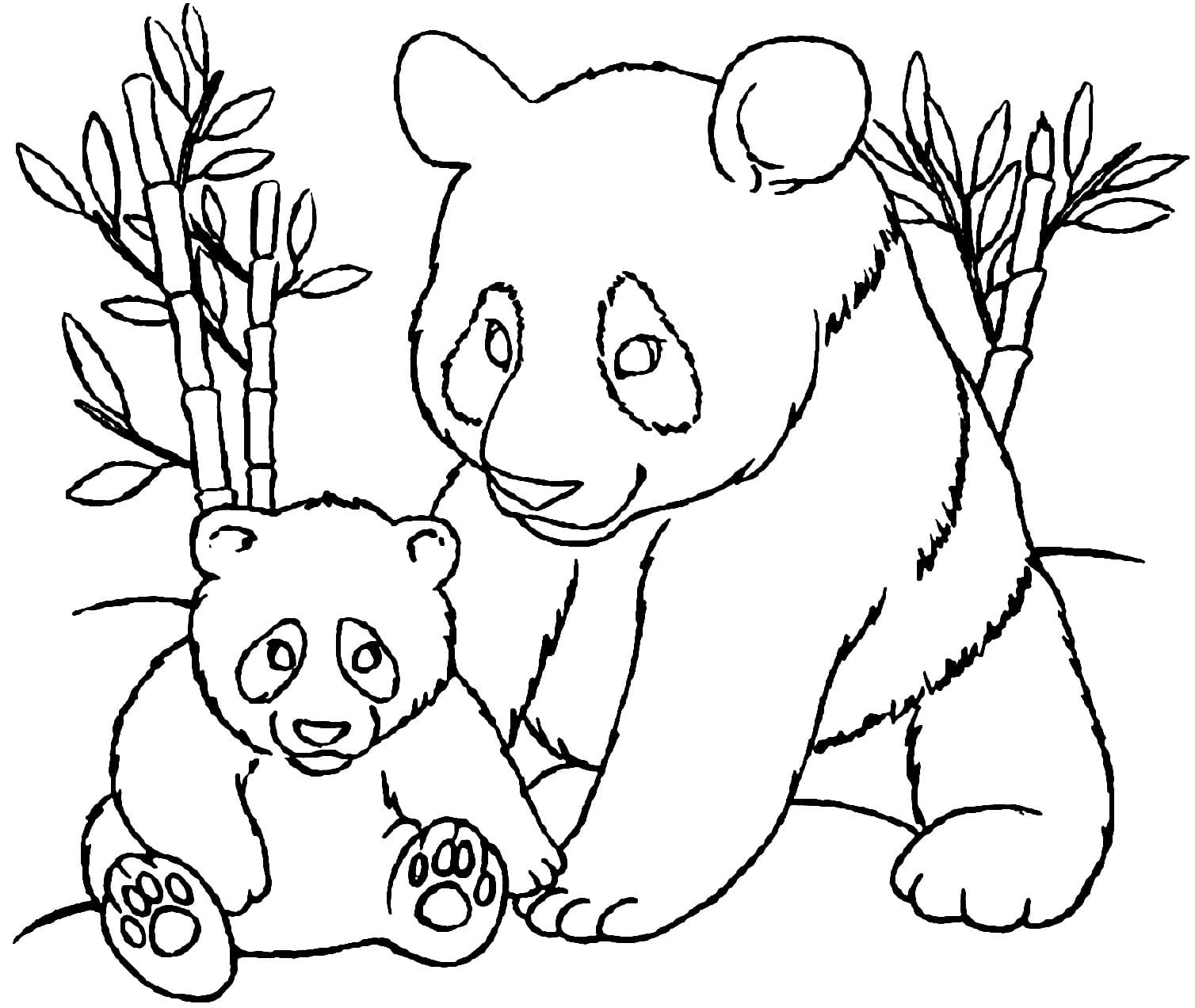 Cute Pandas Picture Coloring Page