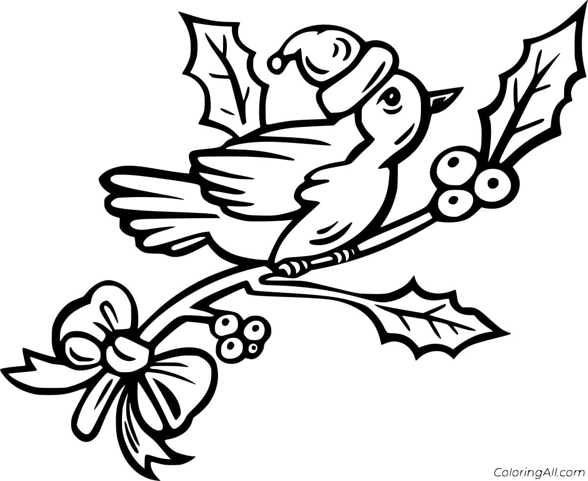 Cute Robin In The Hat Coloring Page