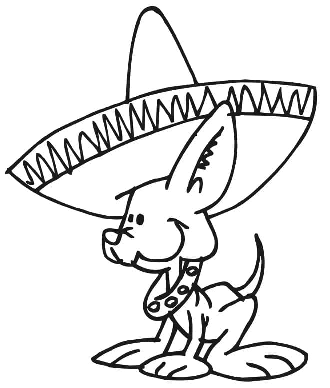 Dog And Sombrero Coloring Page