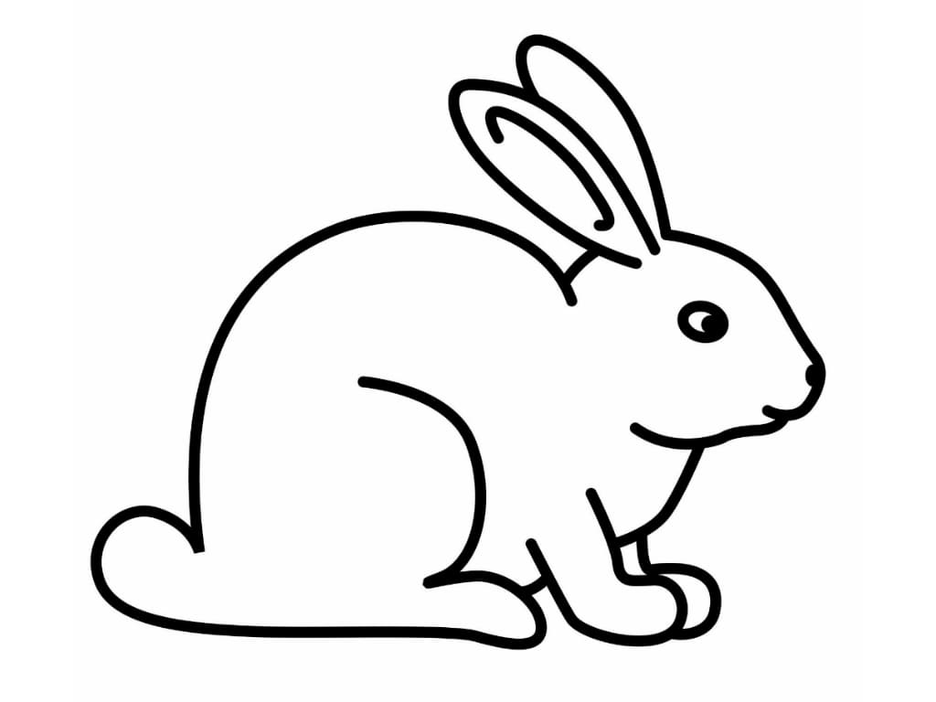Drawing Bunny Rabbit Coloring Page