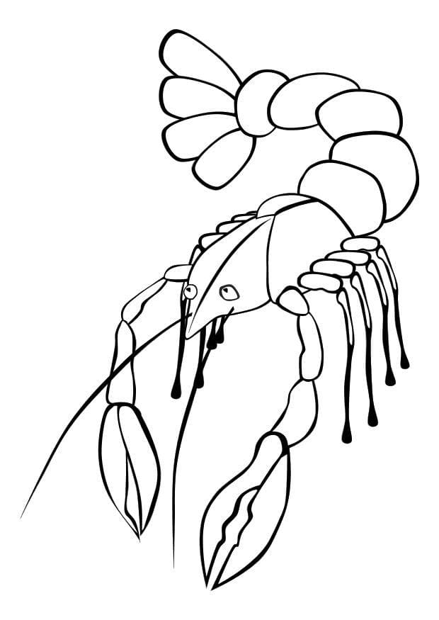 Drawing Lobster Cute Coloring Page