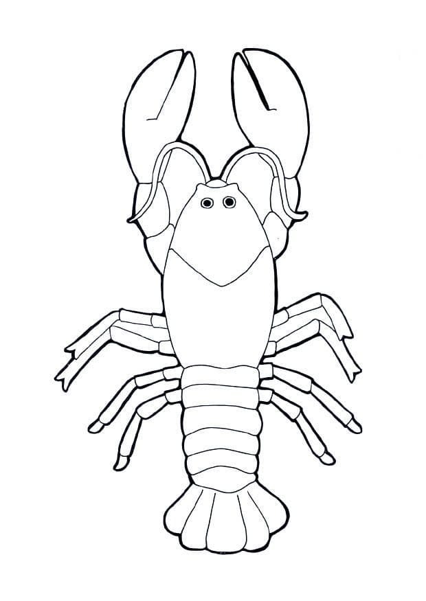 Drawing Lobster Coloring Page