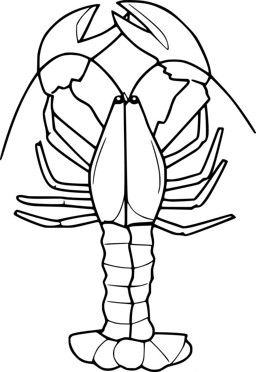 Easy Common Lobster Coloring Page