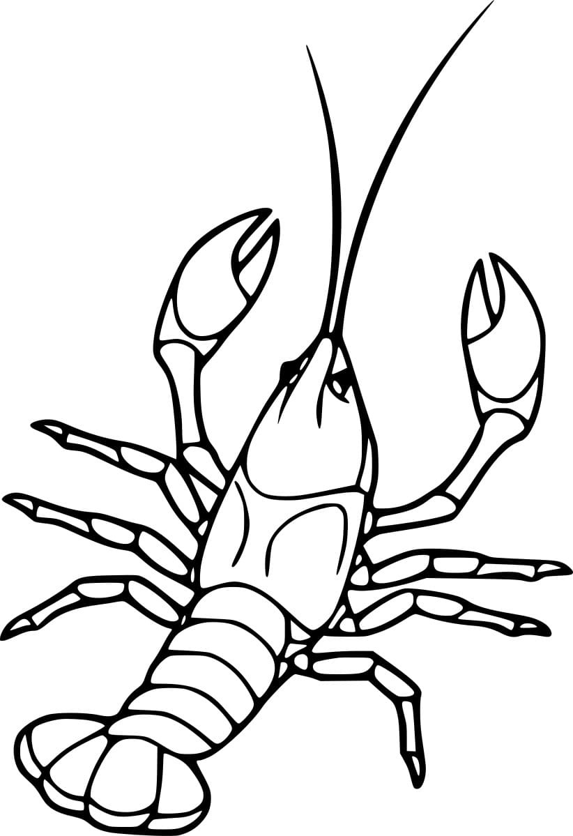 Easy Realistic Lobster Coloring Page