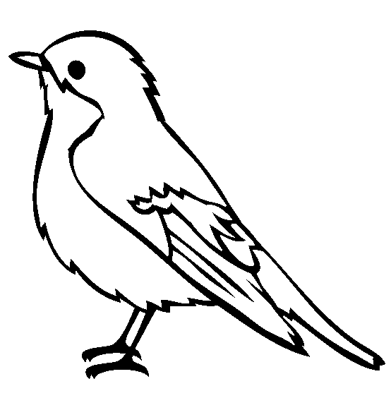 Easy Robin Bird Coloring Page