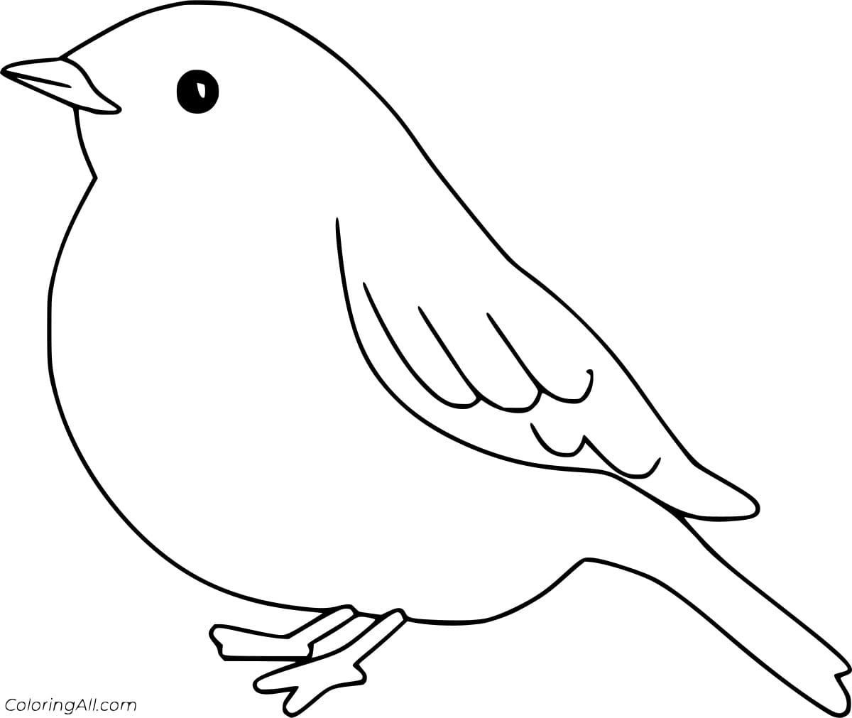 Easy Robin Image Coloring Page