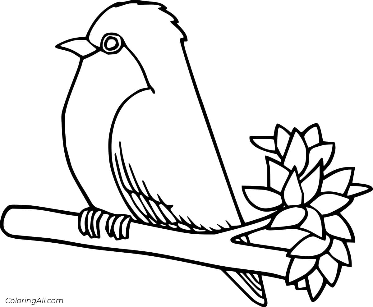 Easy Robin On The Tree Coloring Page