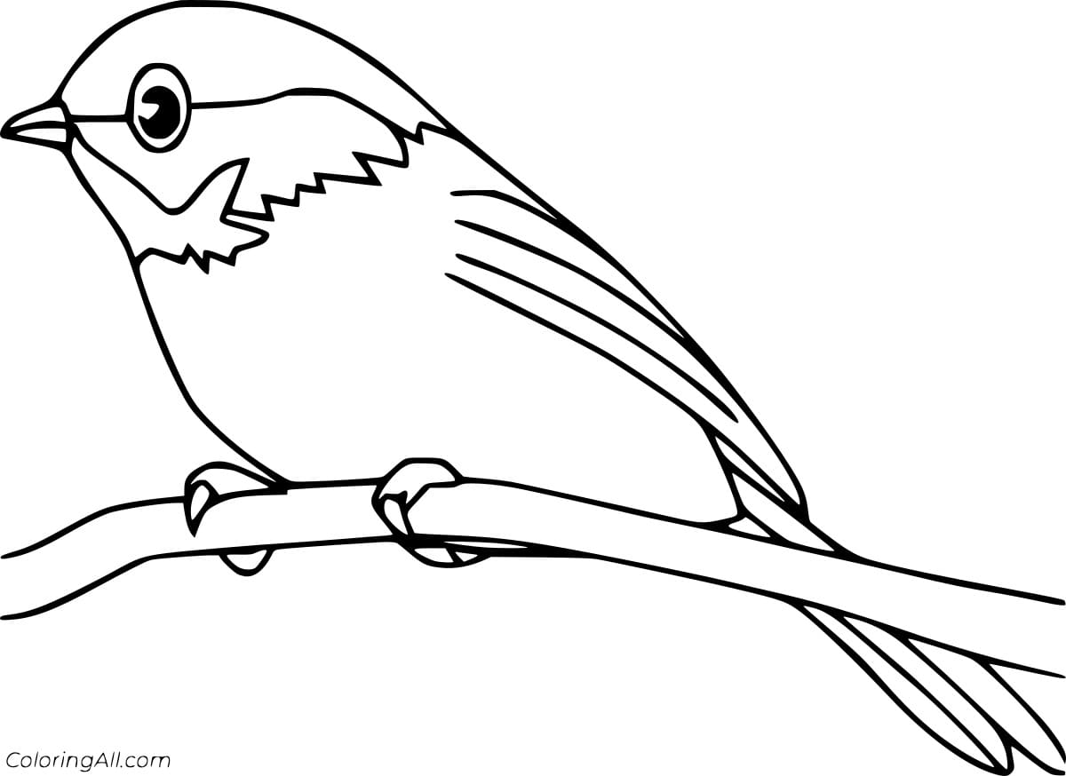 Easy Robin On The Branch Coloring Page