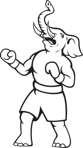 Elephant Republican Boxer