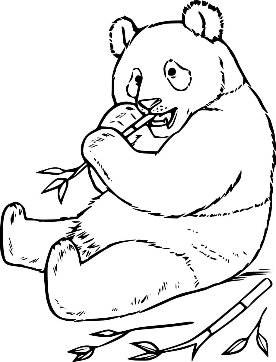 Fat Panda Eating Bamboo Coloring Page