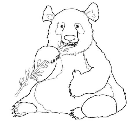 Funny Panda For Kids Coloring Page