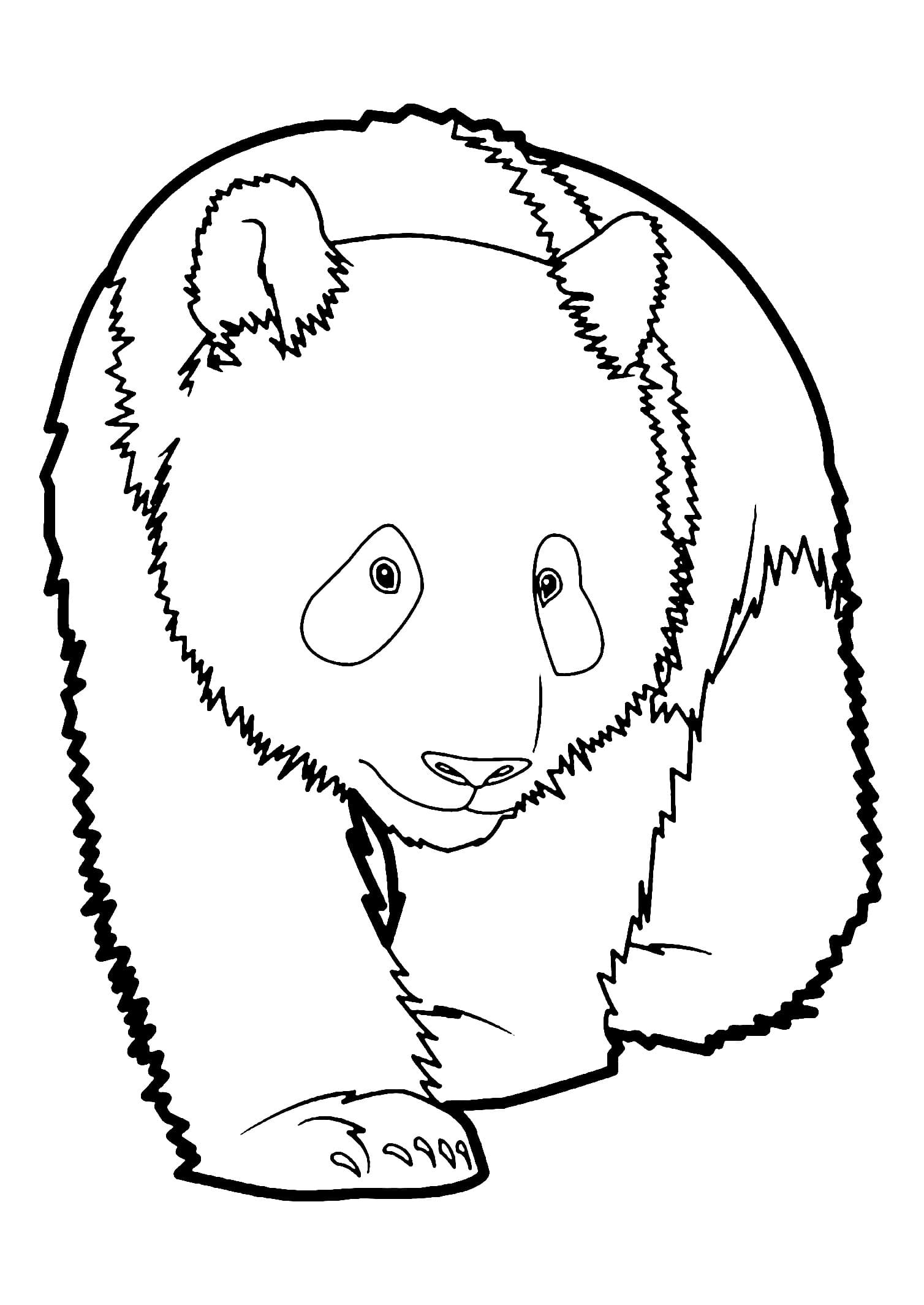 Funny Pandas Picture Coloring Page