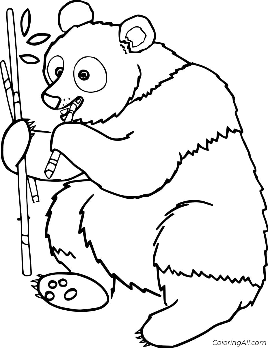 Giant Panda Eating Bamboo Coloring Pages - Coloring Cool