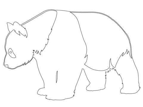 Giant Panda Outline Coloring Page