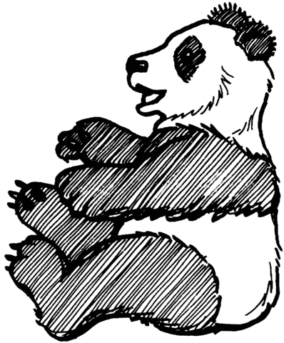 Giant Panda Sitting Coloring Page