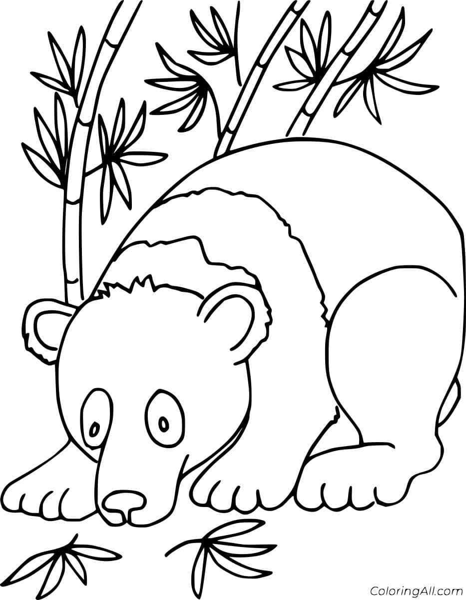 Giant Panda in the Bamboo Coloring Page