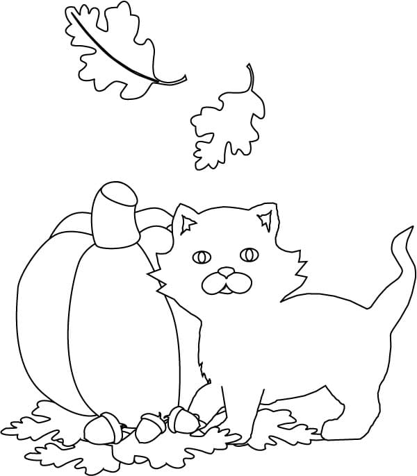 Halloween Cat Baby Coloring Page