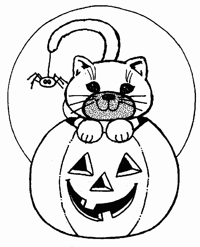 Halloween Cat In Pumpkin