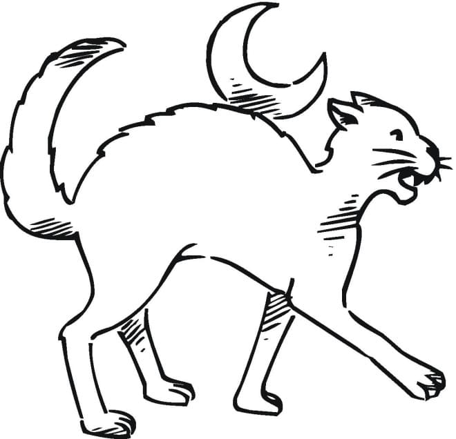 Halloween Cat Sweet Coloring Page