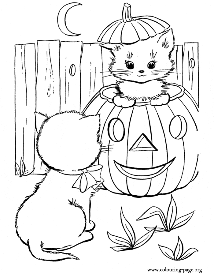 Halloween Coloring Image
