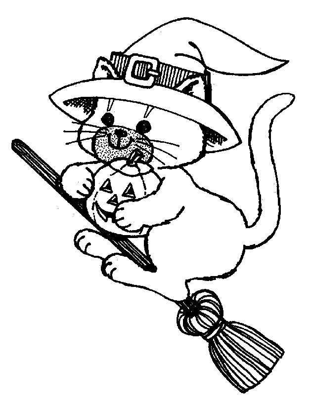 Halloween Witch Cat On Broom Marvelous
