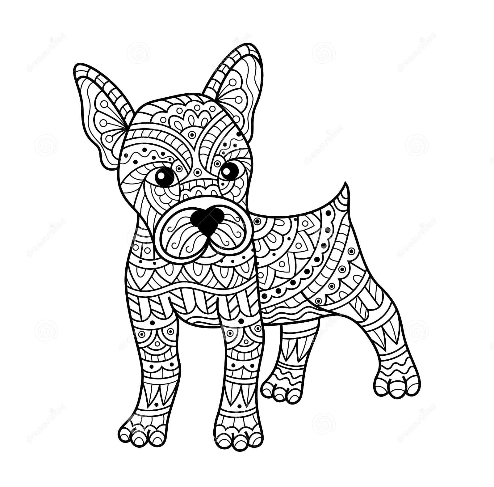 Hand Drawn Of Boston Terrier Dog In Zentangle Style Coloring Page