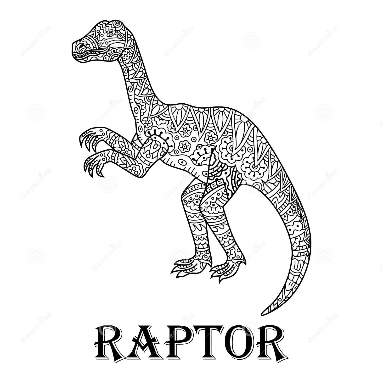 Hand Drawn Of Raptor