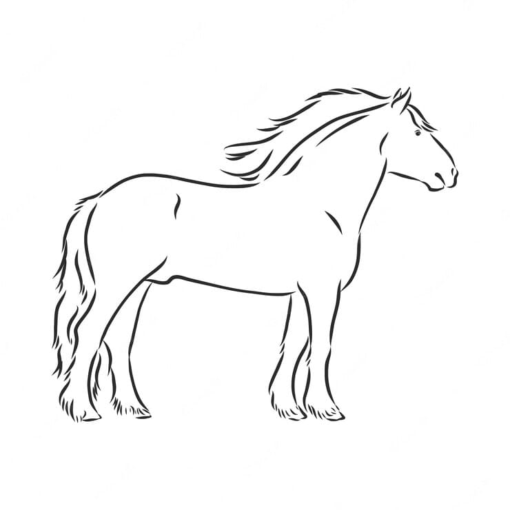 Handdrawn Horse On A White Background Heavy Horse Vector Sketch Illustration Coloring Page