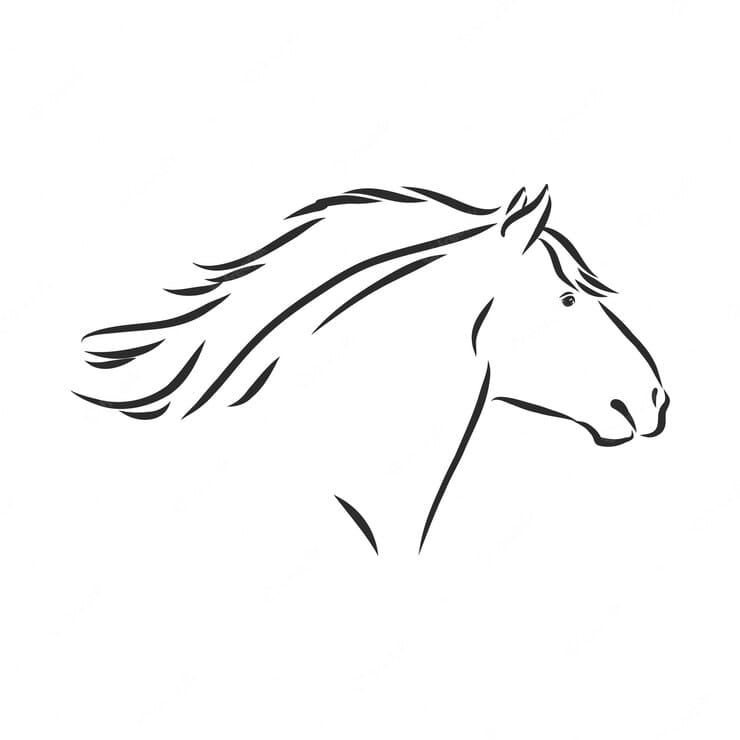 Handdrawn Horse On A White Background Heavy Horse Coloring Page