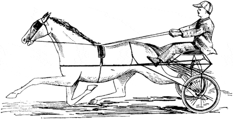 Harness Racing Coloring Page