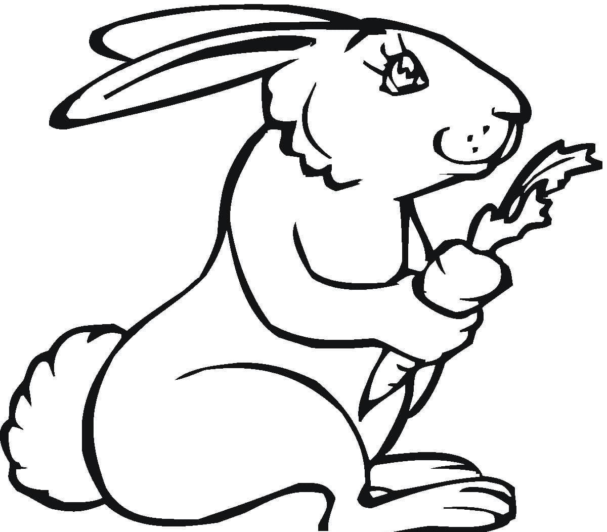 Image Bunny Rabbit for Kids