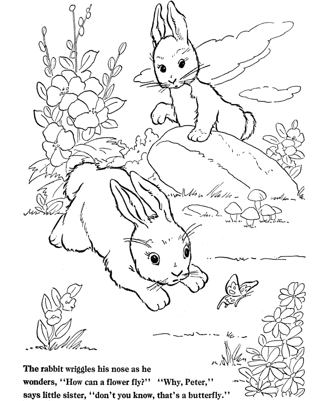 Image Rabbit