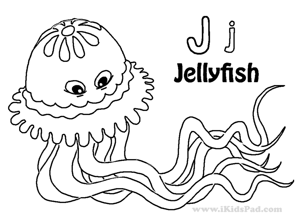 Jellyfish Clip Art Black Coloring Page