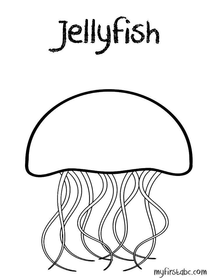 Jellyfish Image Cute