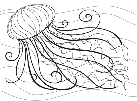 Jellyfish Image For kids