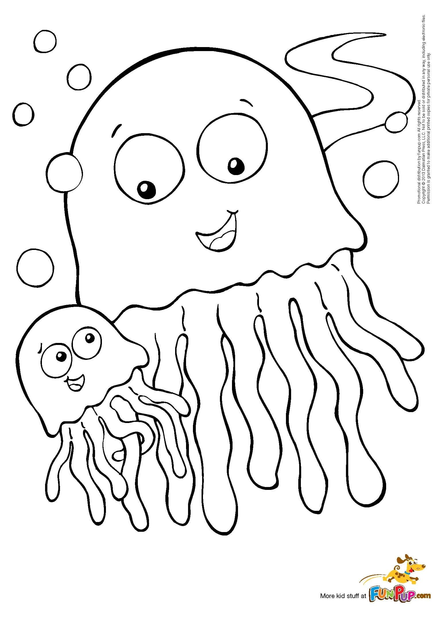 Jellyfish Image Kids