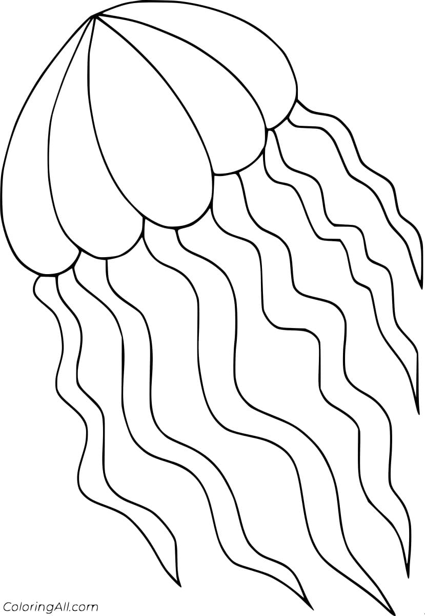 Jellyfish Outline