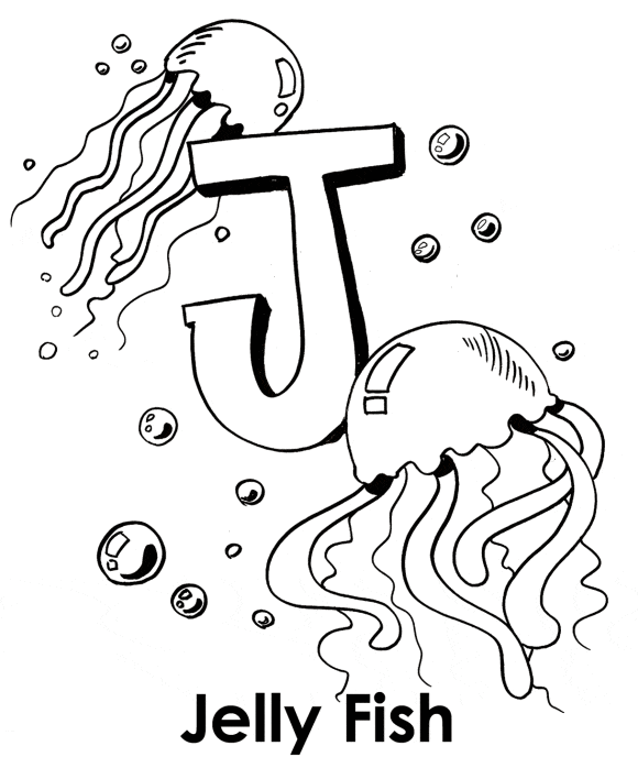 Jellyfish Preschool