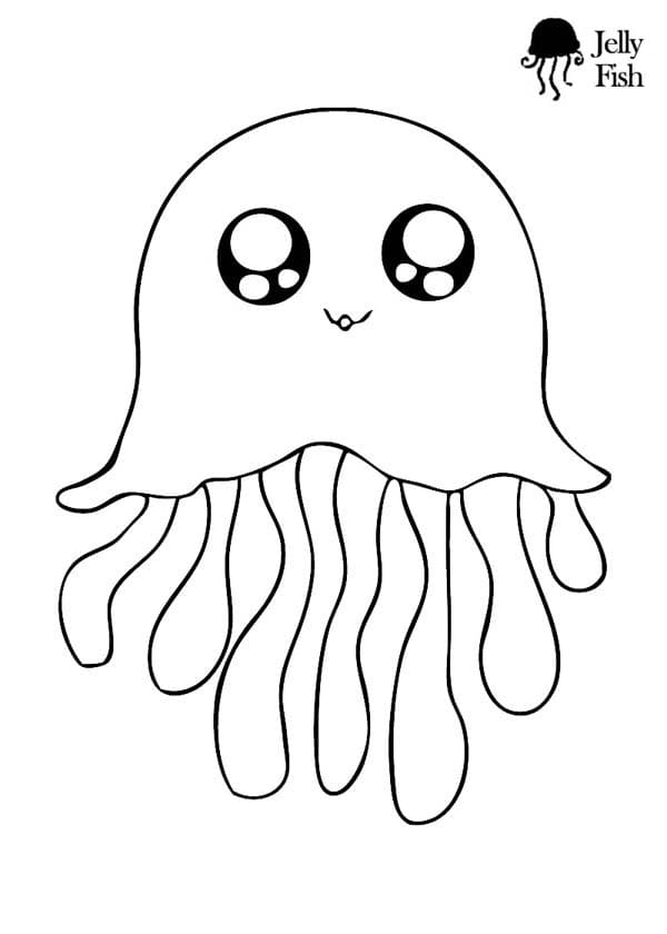 Jellyfish Pretty