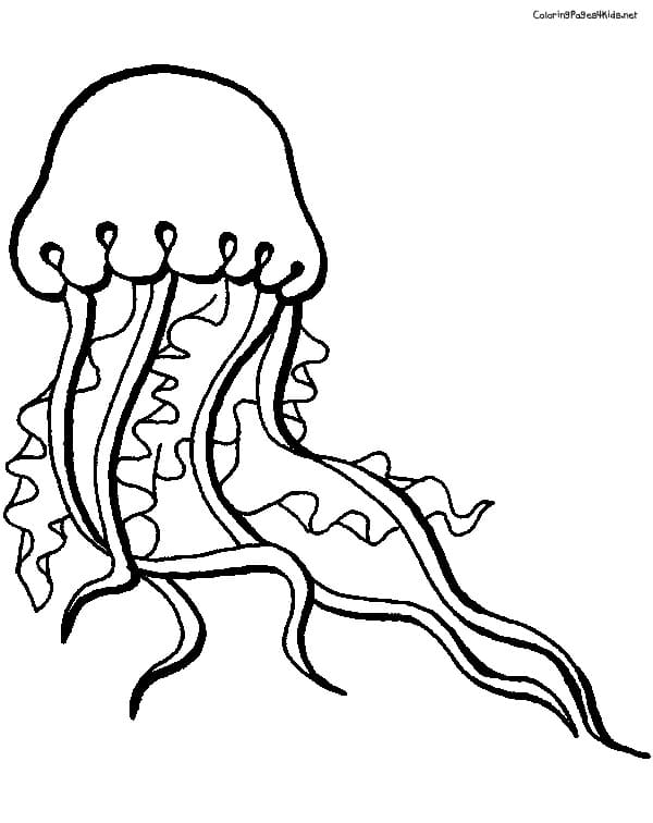 Jellyfish Staggering