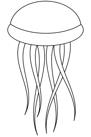 Jellyfish Sweet Coloring Page