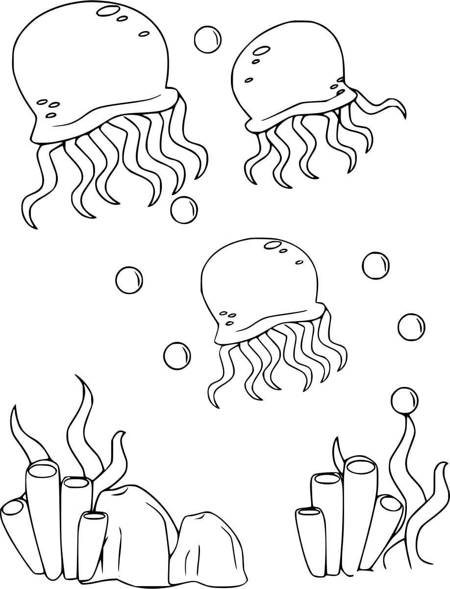 Jellyfish And Corals Coloring Page