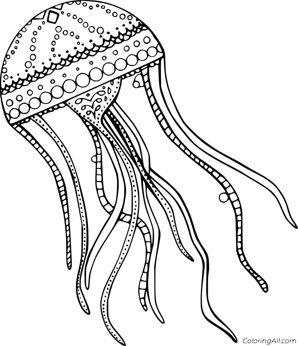 Jellyfish With Various Patterns