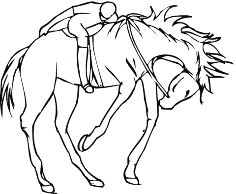 Jockey On A Horse