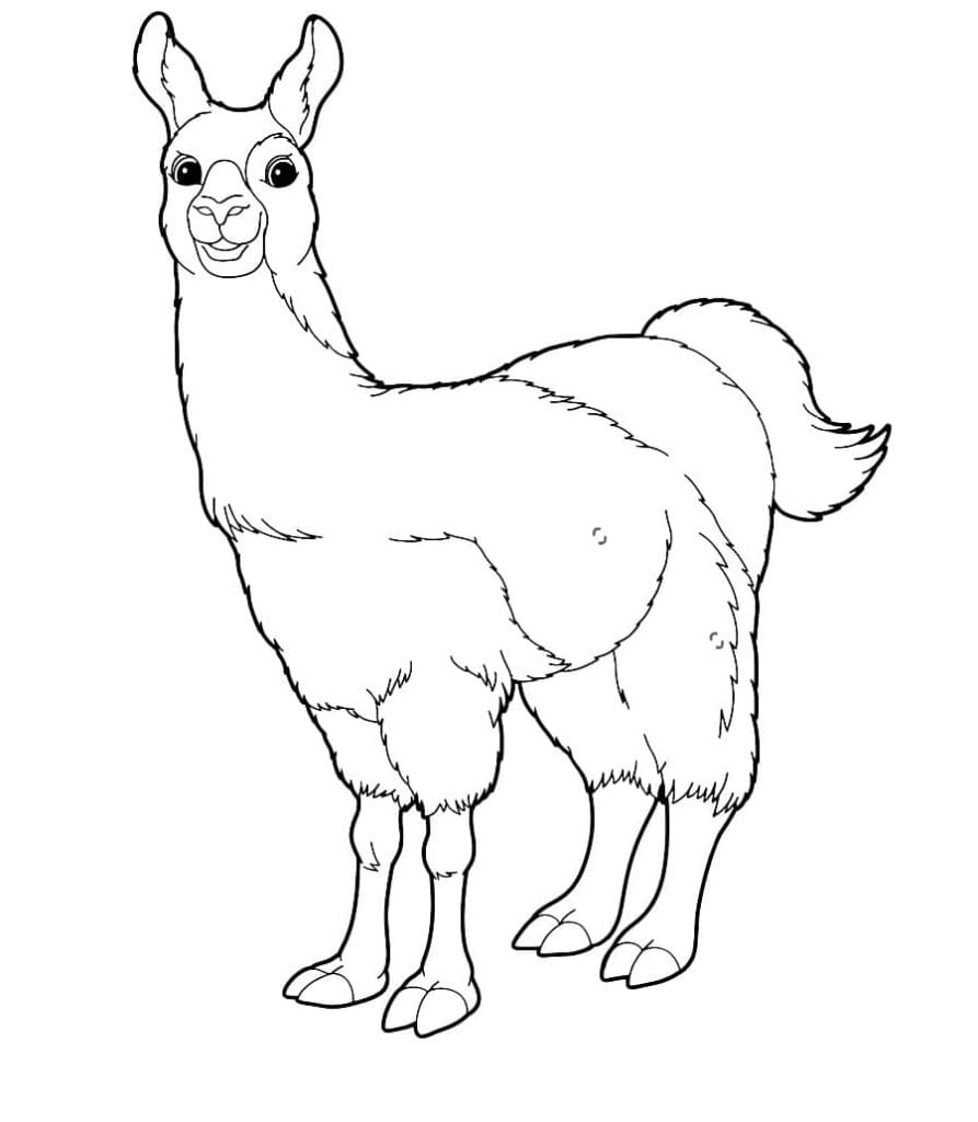 Joyful llama Coloring Page