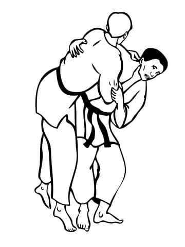 Judo Fight