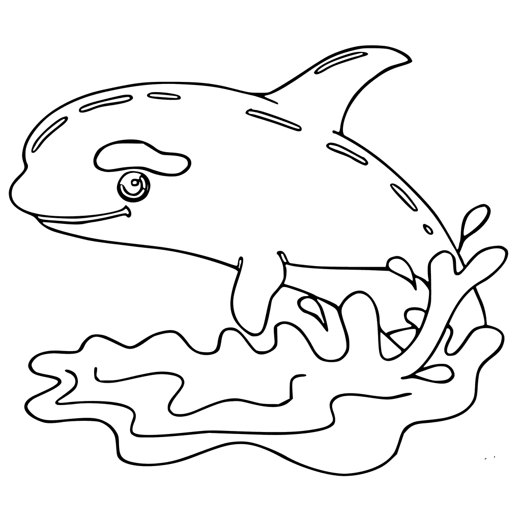 Kids Killer Whale Image