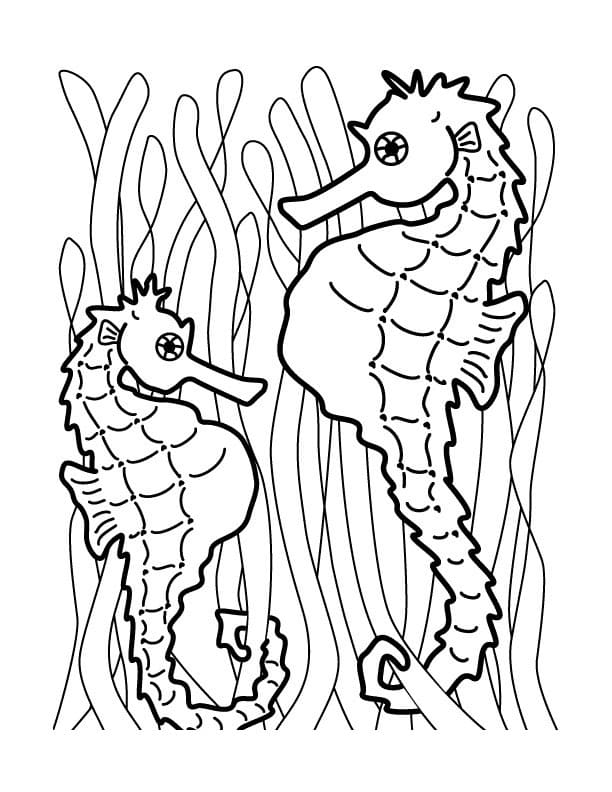 Kids Seahorse Image