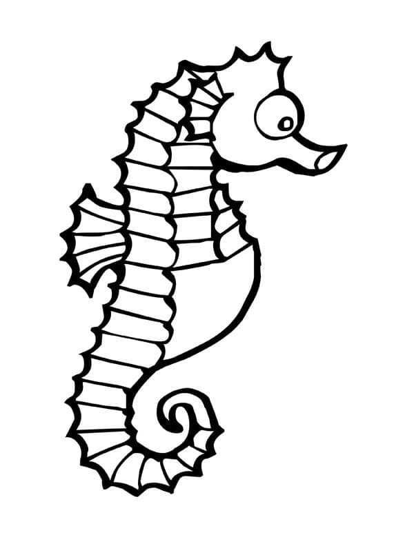 Kids Seahorse Coloring Page