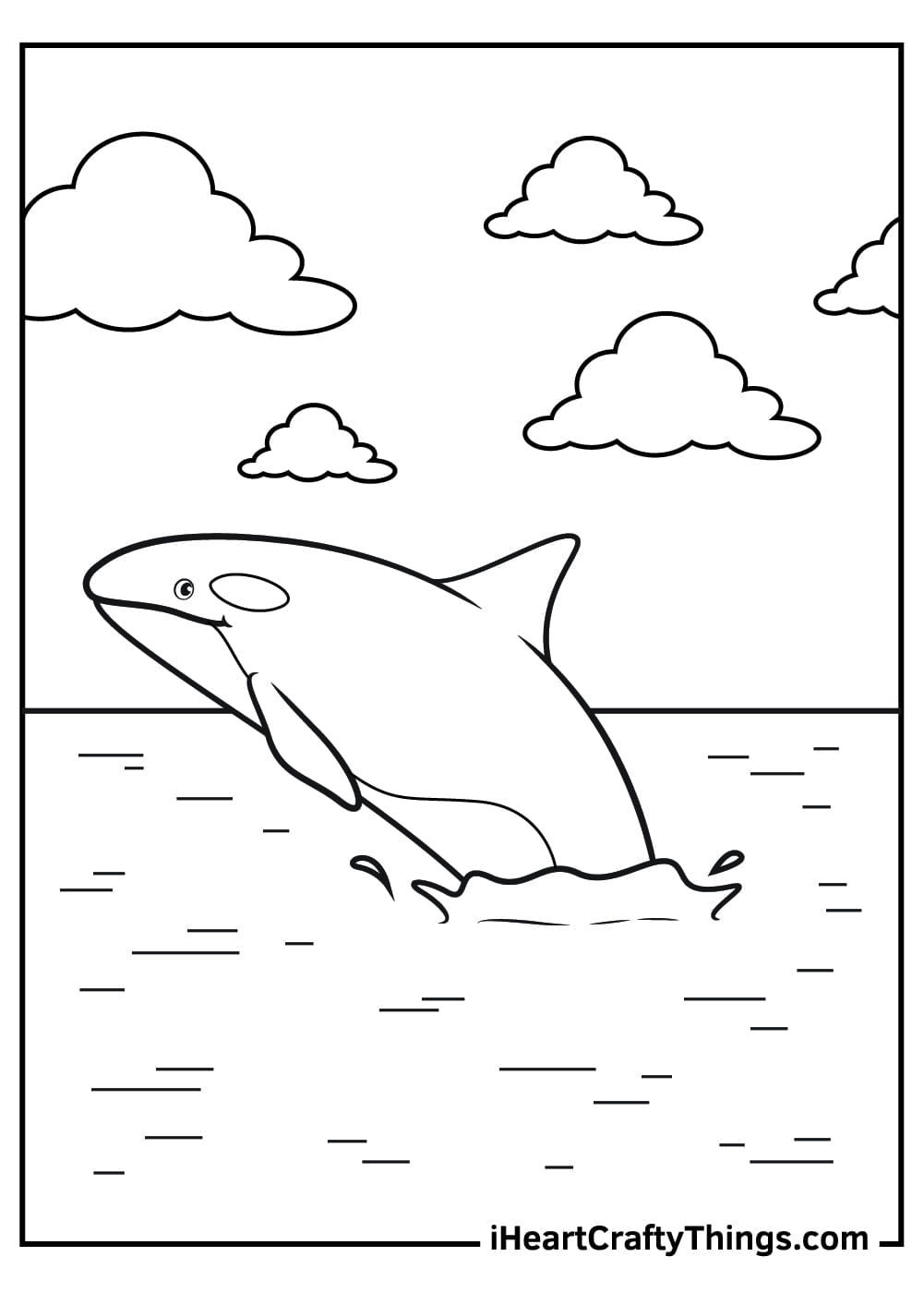 Killer Whale For Children